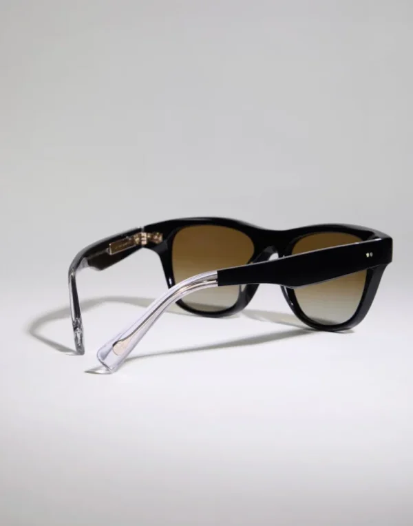 Iconic Meridian acetate sunglasses