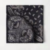 Silk pocket square with paisley design